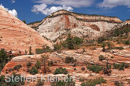 zion np - national park usa 039